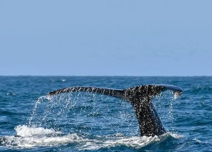 Apartamento Mesmerizing Ocean & Arch Views King Beds Pool Luxury Family Friendly Cabo San Lucas