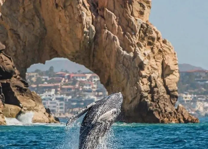 Mesmerizing Ocean & Arch Views King Beds Pool Luxury Family Friendly *