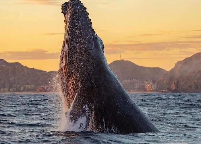 Mesmerizing Ocean & Arch Views King Beds Pool Luxury Family Friendly Cabo San Lucas